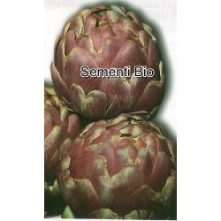 alcachofa romanesco semillas ecolÃ³gicas