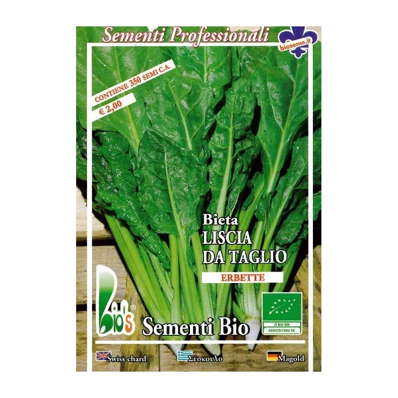 acelga liscia da taglio - semillas ecolÃ³gicas
