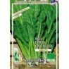 acelga liscia da taglio - semillas ecolÃ³gicas