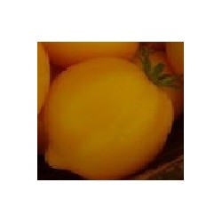Tomate lemon plum