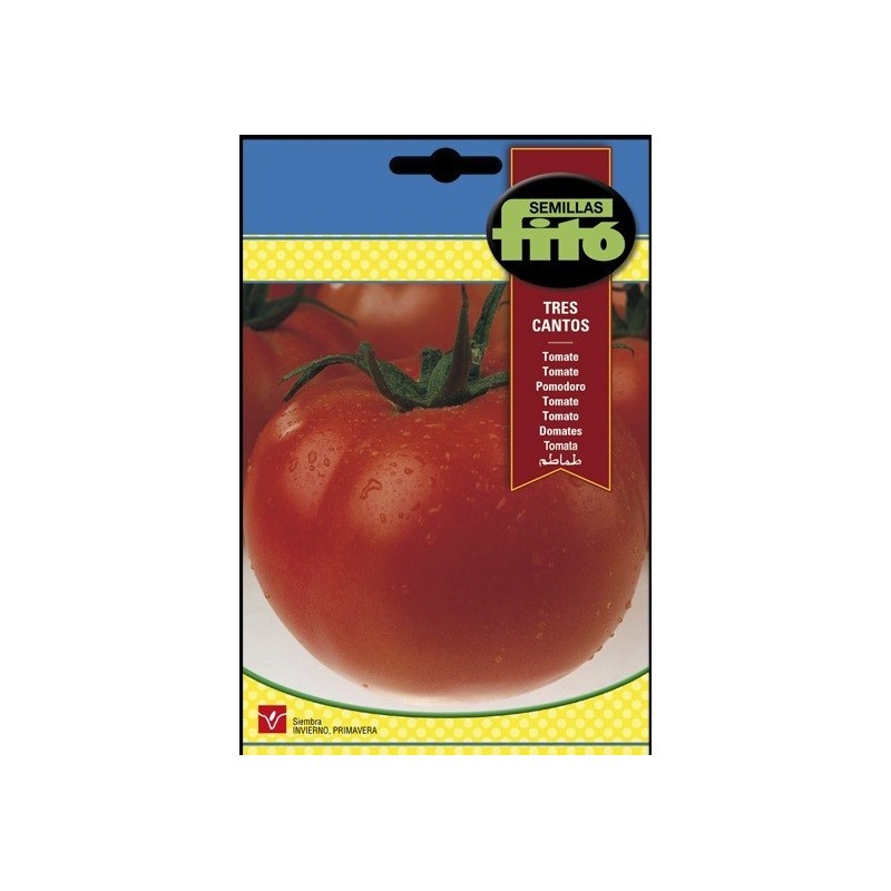 tomate Tres Cantos