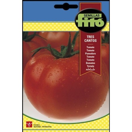 tomate Tres Cantos