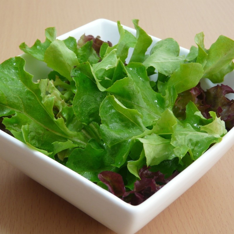 Lechuga Baby Leaf Mix - semillas no tratadas