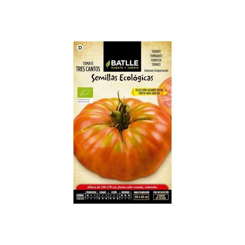 tomate tres cantos gigante rosa- semillas ecolÃ³gicas
