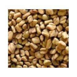 fenogreco para germinados (semillas ecolÃ³gicas)