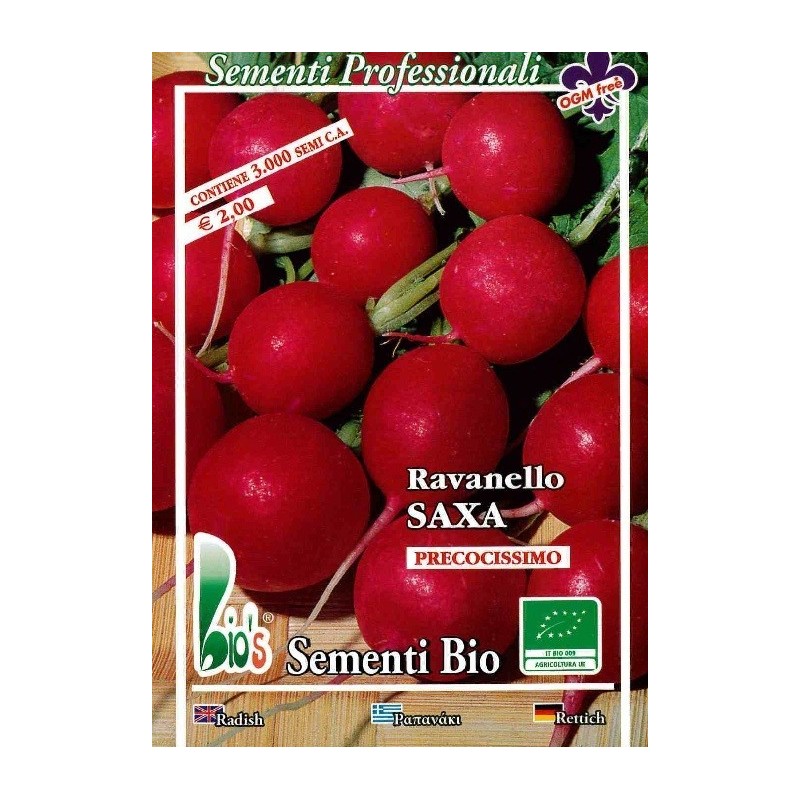 rabanito redondo rojo saxa (semillas ecolÃ³gicas)