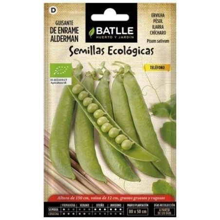 guisante alderman - semillas ecologicas batlle