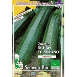 calabacin oscuro de Milan - semillas ecolÃ³gicas