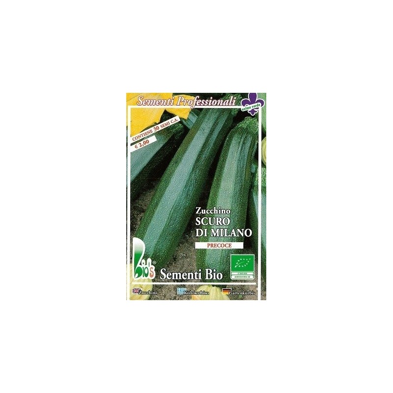 calabacin oscuro de Milan - semillas ecolÃ³gicas