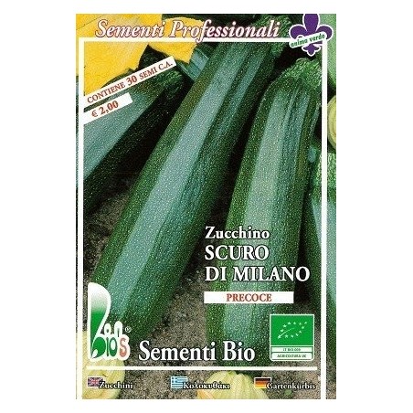 calabacin oscuro de Milan - semillas ecolÃ³gicas