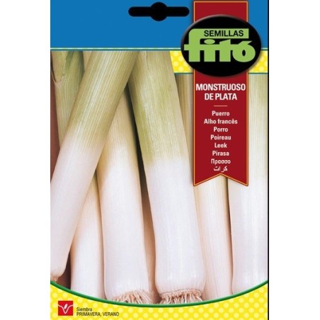 puerro mostruoso de Plata