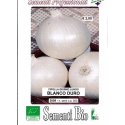 cebolla blanca de Fuentes - semillas ecolÃ³gicas