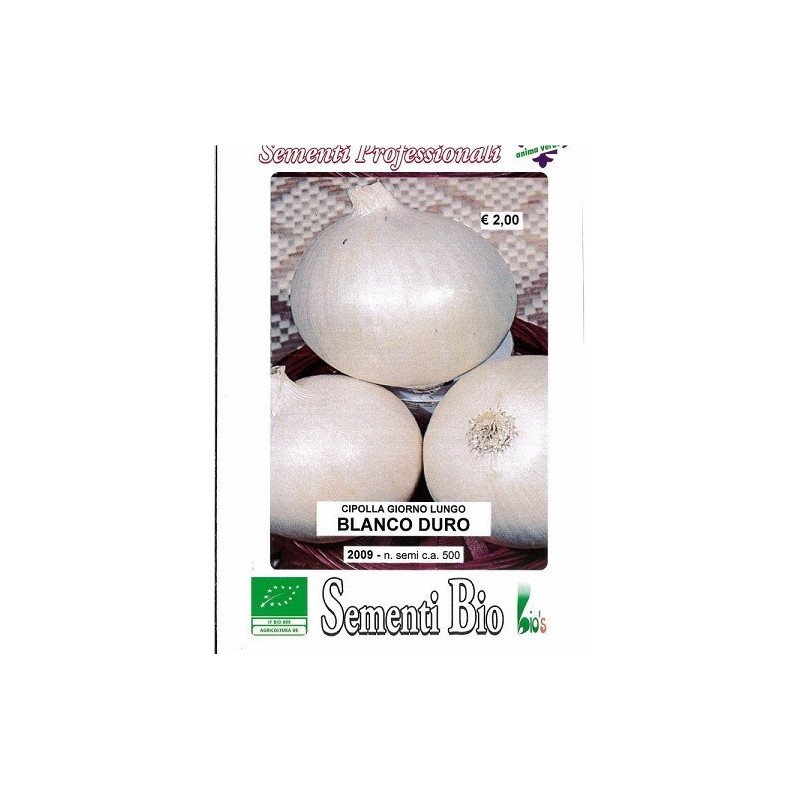 cebolla blanca de Fuentes - semillas ecolÃ³gicas