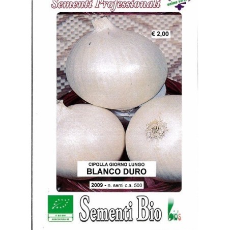 cebolla blanca de Fuentes - semillas ecolÃ³gicas