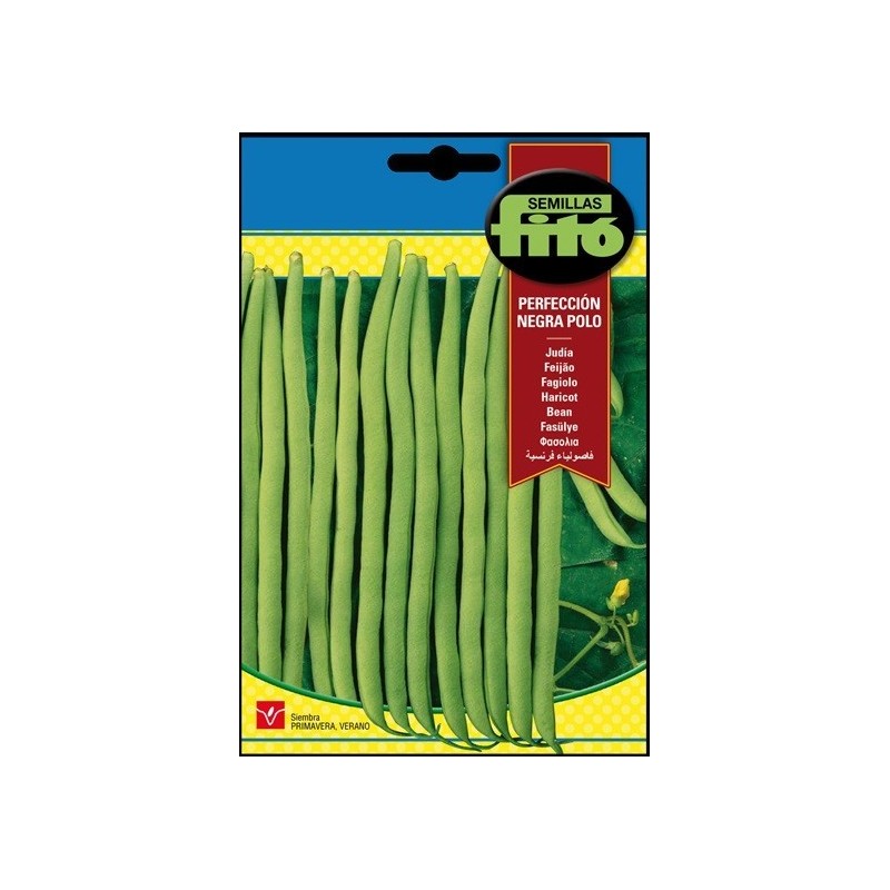 JudÃ­a perfecciÃ³n negra - polo FitÃ³