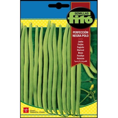 JudÃ­a perfecciÃ³n negra - polo FitÃ³