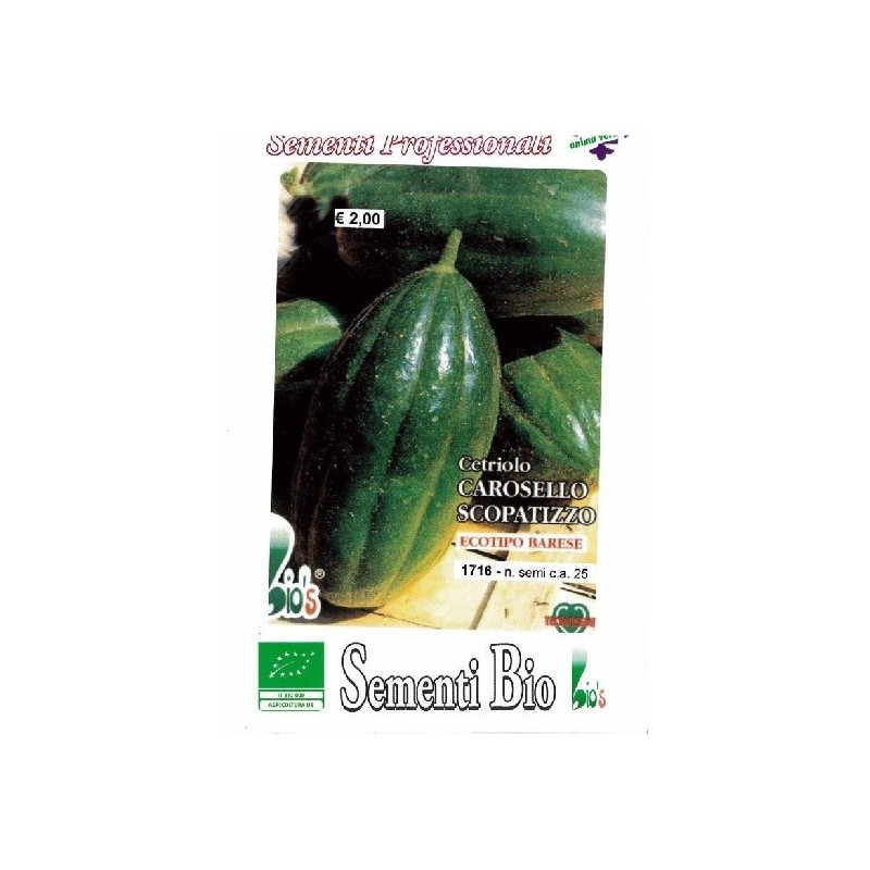 pepino Scopatizzo medio precoz - semillas ecolÃ³gicas