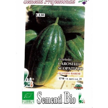 pepino Scopatizzo medio precoz - semillas ecolÃ³gicas