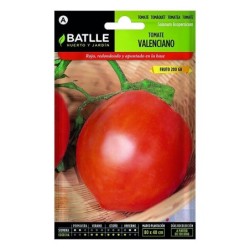 Tomate valenciano