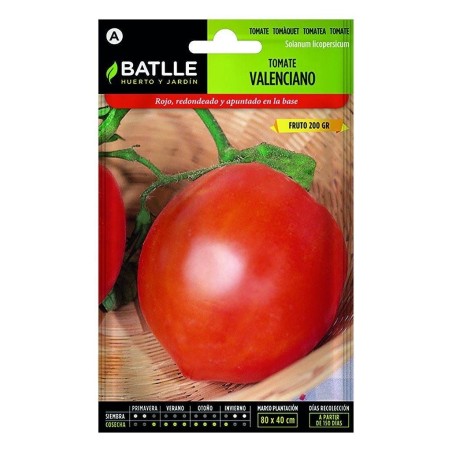 Tomate valenciano