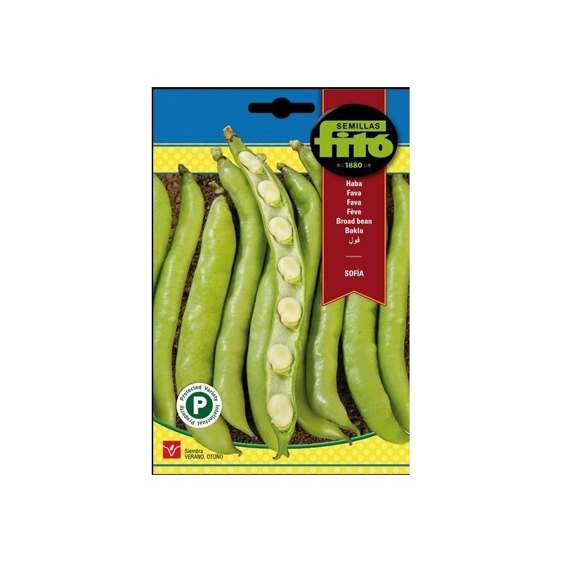 Haba Sofia (reina mora)