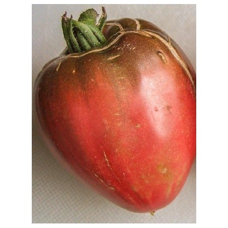 tomate corazon negro de Brad