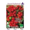 guindilla ciliegia - semillas ecologicas