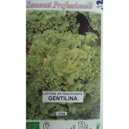 lechuga gentilina (semillas ecolÃ³gicas)
