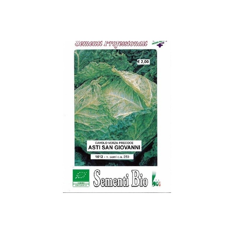 repollo San Giovani - semillas ecologicas