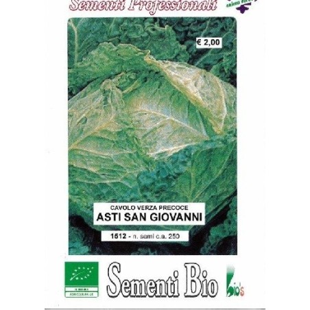repollo San Giovani - semillas ecologicas