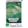 repollo San Giovani - semillas ecologicas