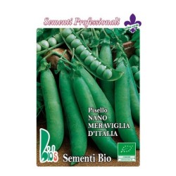 guisante maravilla de Italia - semillas ecolÃ³gicas