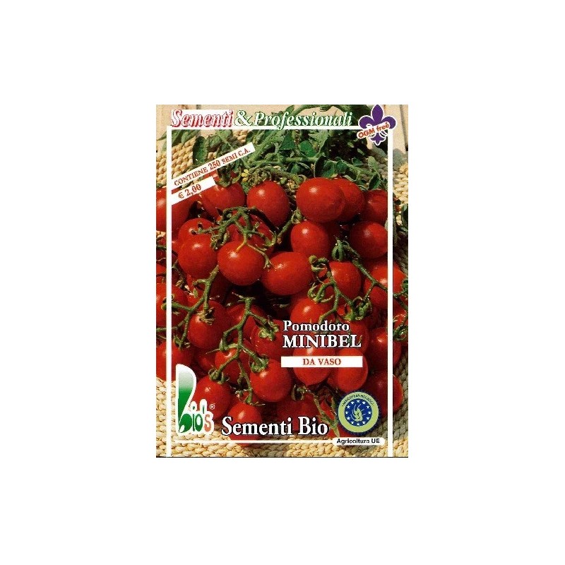 tomate red cherry - semillas ecolÃ³gicas