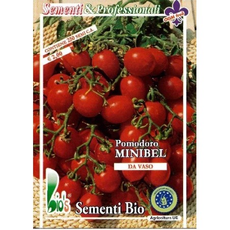 tomate red cherry - semillas ecolÃ³gicas