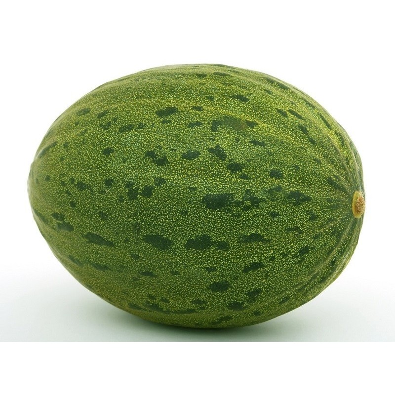 melÃ³n piÃ±onet semillas no tratadas
