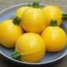 calabacin one ball (semillas sin tratamiento)