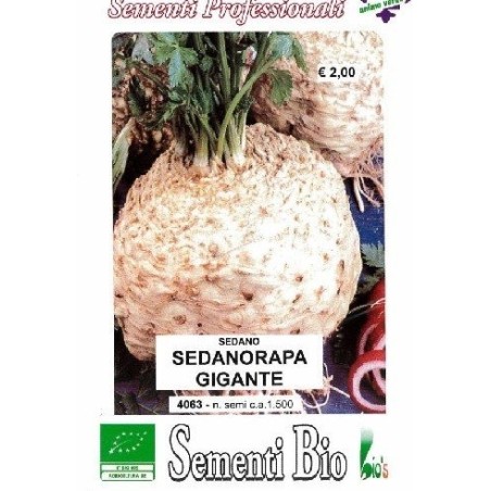 apio nabo gigante de Praga - semillas ecolÃ³gicas