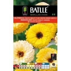 calendula pacific beauty (Calendula officinalis)