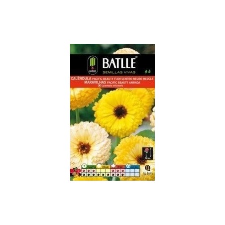 calendula pacific beauty (Calendula officinalis)