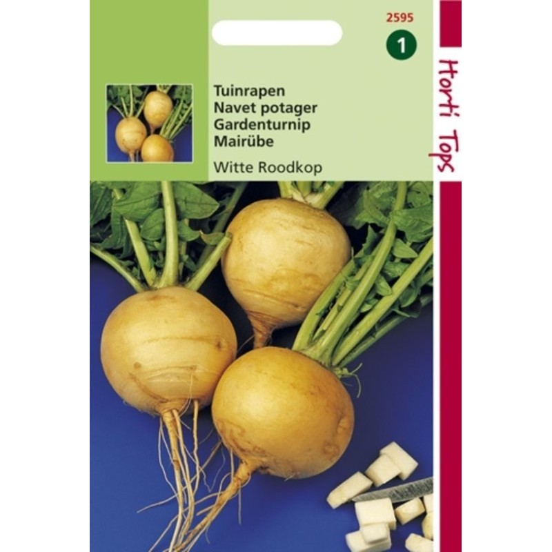 nabo blanco Goldana (Goudbal Kortlof)