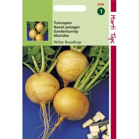 nabo blanco Goldana (Goudbal Kortlof)