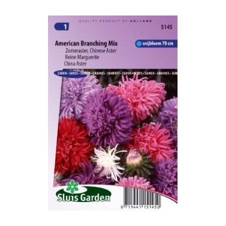 aster de la China mezcla para ramos (Callistephus chinensis)