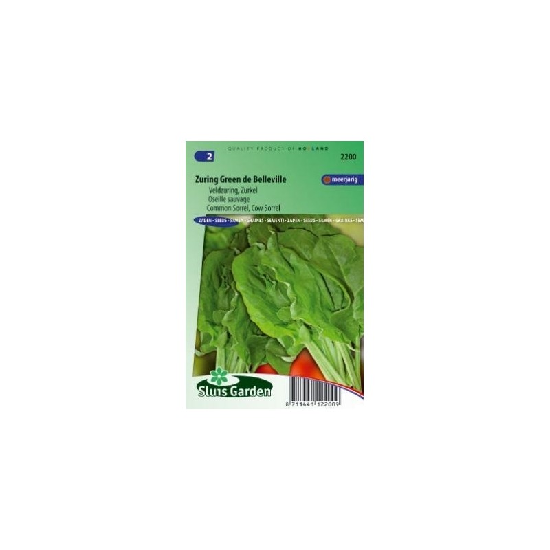 acedera verde de Belleville  (Rumex acetosa)