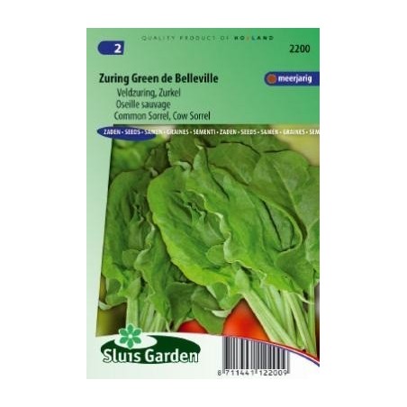 acedera verde de Belleville  (Rumex acetosa)