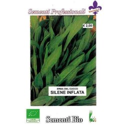 collejas (silene inflata) semillas ecologicas