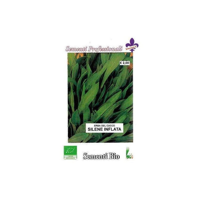 collejas (silene inflata) semillas ecologicas