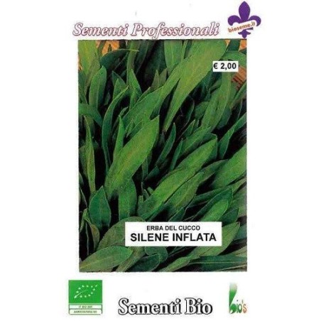 collejas (silene inflata) semillas ecologicas