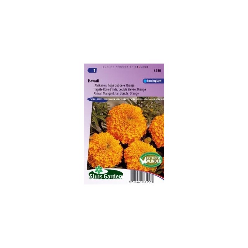 tagete naranja doble Hawaii (Tagetes erecta)
