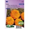 tagete naranja doble Hawaii (Tagetes erecta)