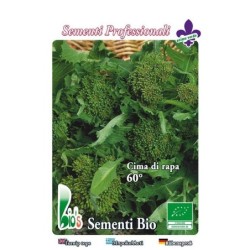 brocoli rapa sessantino - semillas ecolÃ³gicas